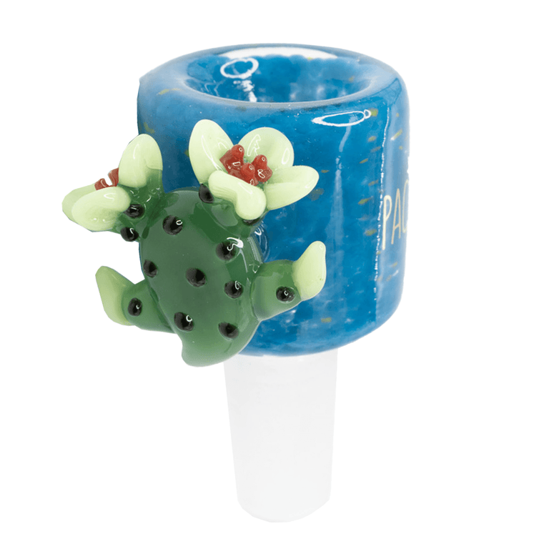 Cactus Bloom Bowl